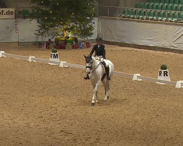 Reitturnier Kreuth/Opf. 2023