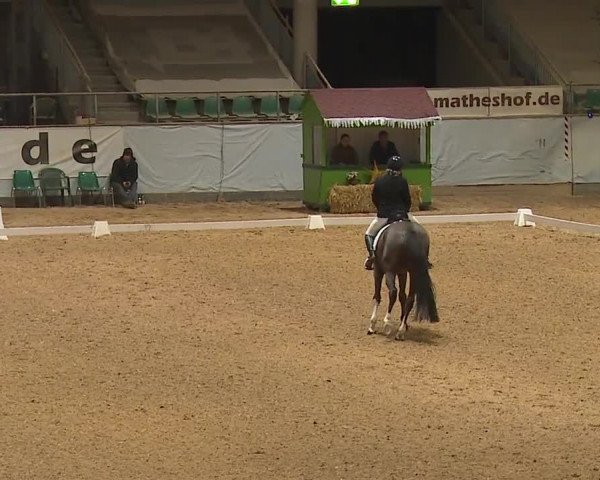 Reitturnier Kreuth/Opf. 2023