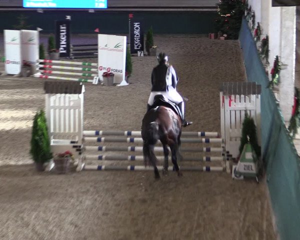 Reitturnier Salzwedel 2023