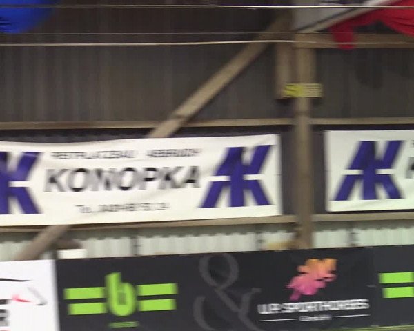 3. Nordic Jumping event Negernbötel 2023