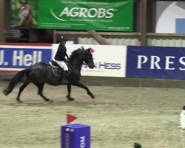 3. Nordic Jumping event Negernbötel 2023