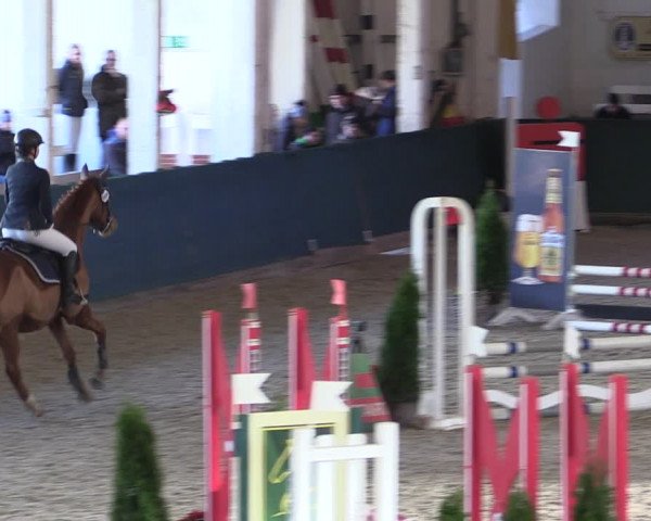Reitturnier Salzwedel 2023