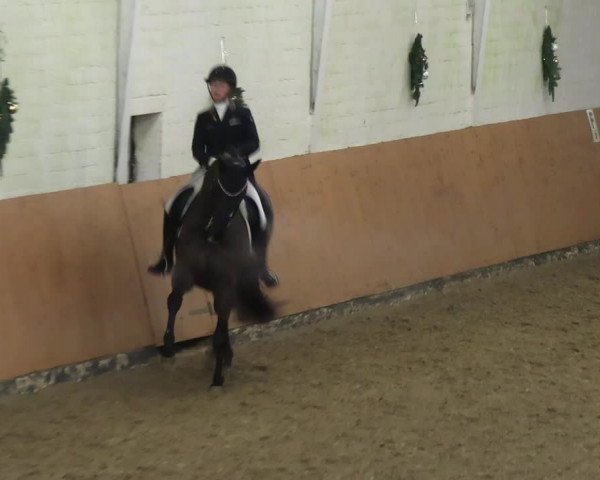 Reitturnier Datteln 2023
