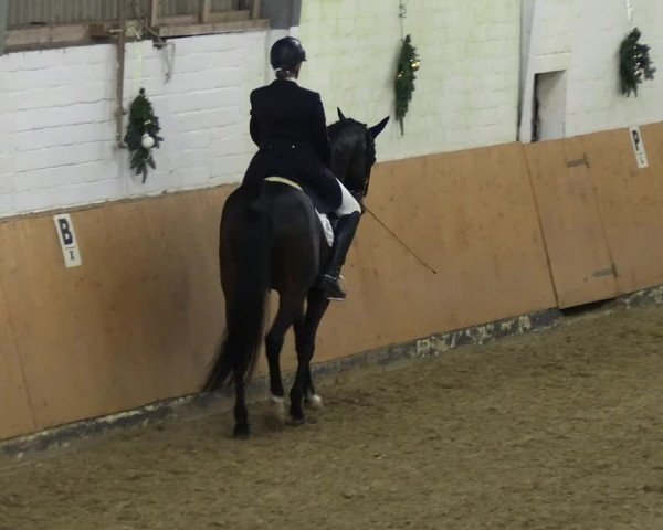 Reitturnier Datteln 2023