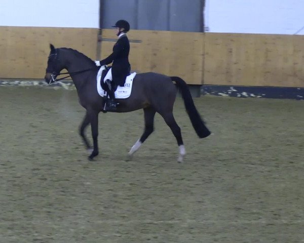 Reitturnier Datteln 2023