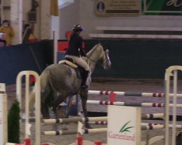 Reitturnier Salzwedel 2023