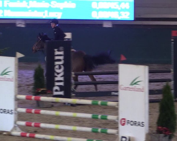 Reitturnier Salzwedel 2023