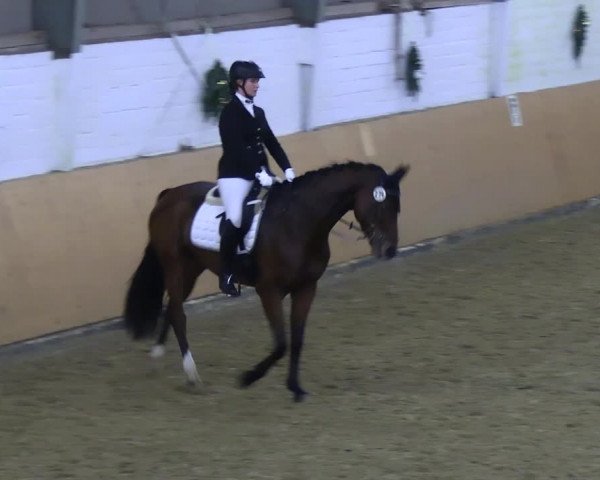 Reitturnier Datteln 2023