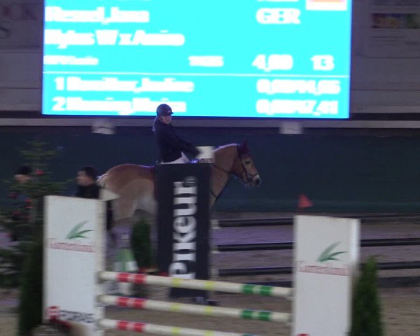 Reitturnier Salzwedel 2023