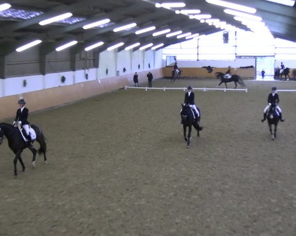 Reitturnier Datteln 2023