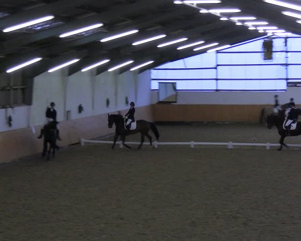 Reitturnier Datteln 2023