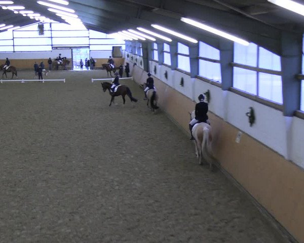 Reitturnier Datteln 2023