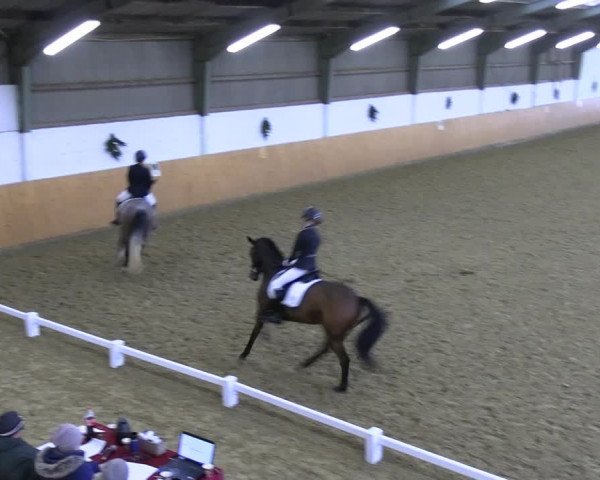 Reitturnier Datteln 2023