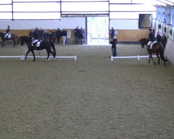 Reitturnier Datteln 2023