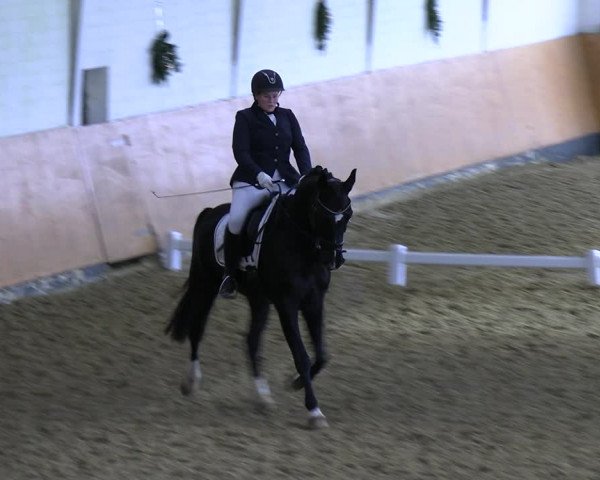 Reitturnier Datteln 2023