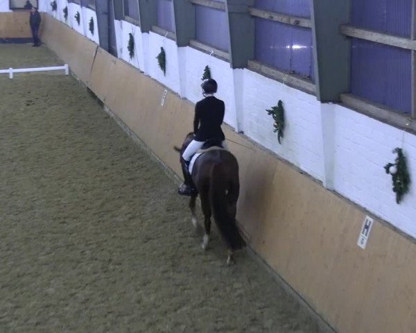 Reitturnier Datteln 2023