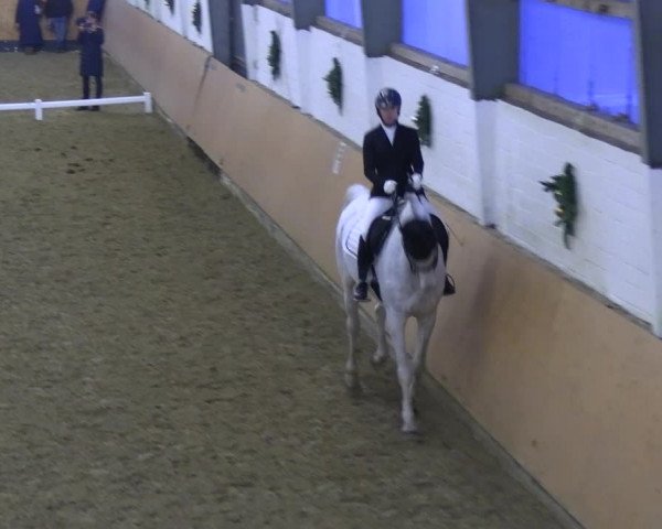 Reitturnier Datteln 2023