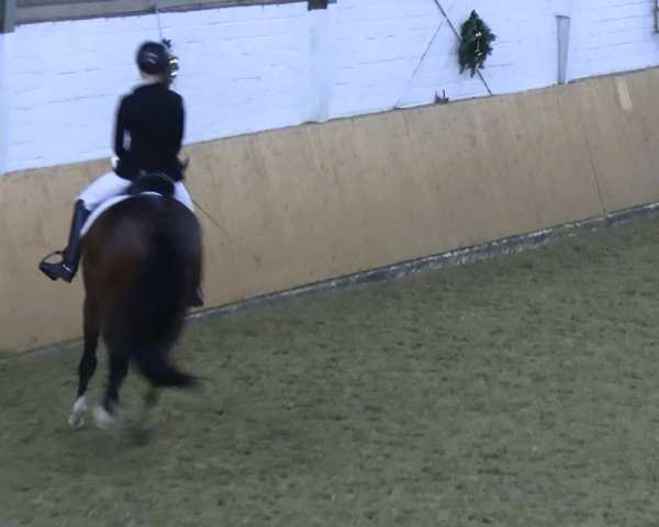 Reitturnier Datteln 2023