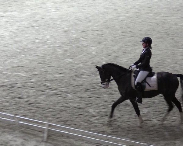 Reitturnier Hamburg-Friedrichshulde 2023