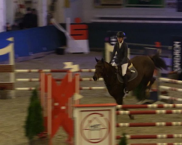 Reitturnier Salzwedel 2023