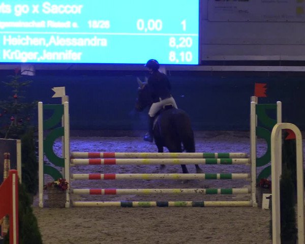 Reitturnier Salzwedel 2023