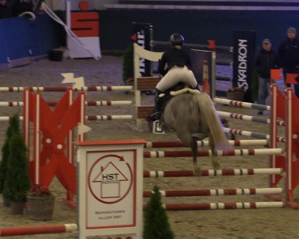 Reitturnier Salzwedel 2023