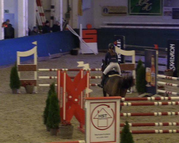 Reitturnier Salzwedel 2023