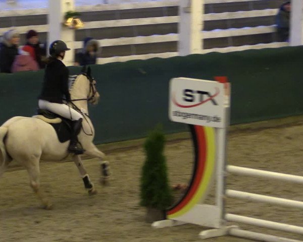 Reitturnier Salzwedel 2023