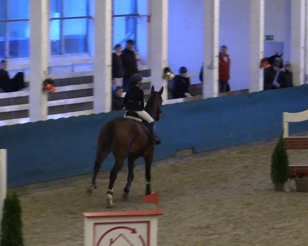 Reitturnier Salzwedel 2023