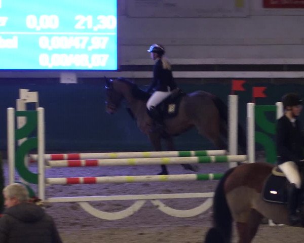 Reitturnier Salzwedel 2023