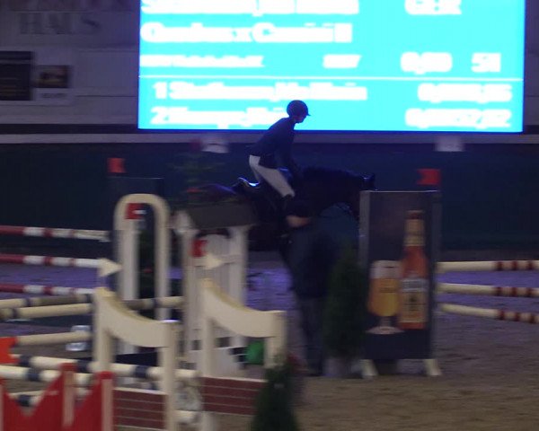 Reitturnier Salzwedel 2023