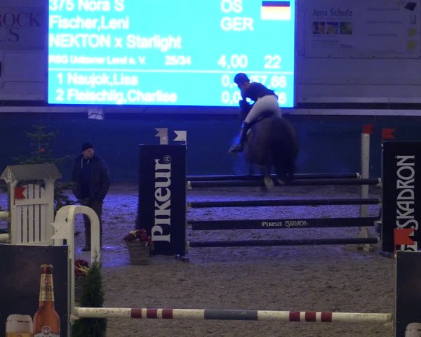 Reitturnier Salzwedel 2023