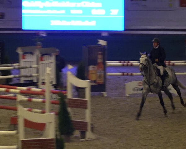 Reitturnier Salzwedel 2023