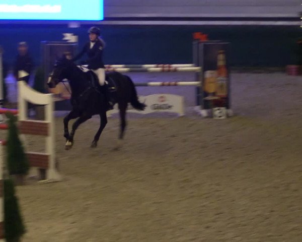 Reitturnier Salzwedel 2023