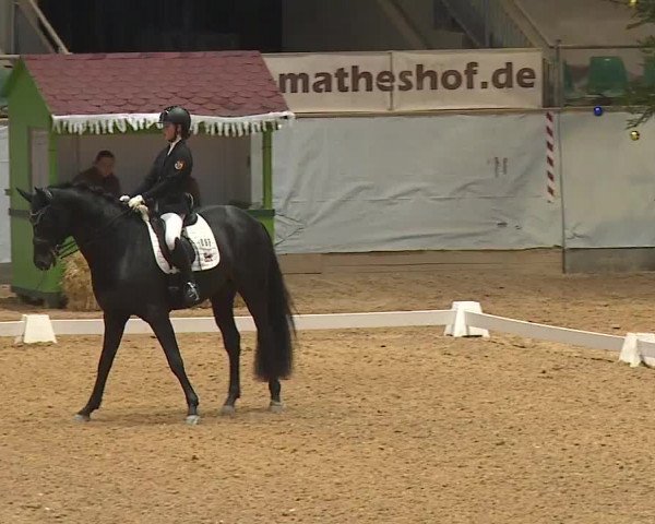 Reitturnier Kreuth/Opf. 2023