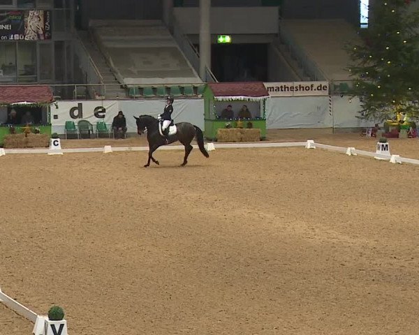 Reitturnier Kreuth/Opf. 2023