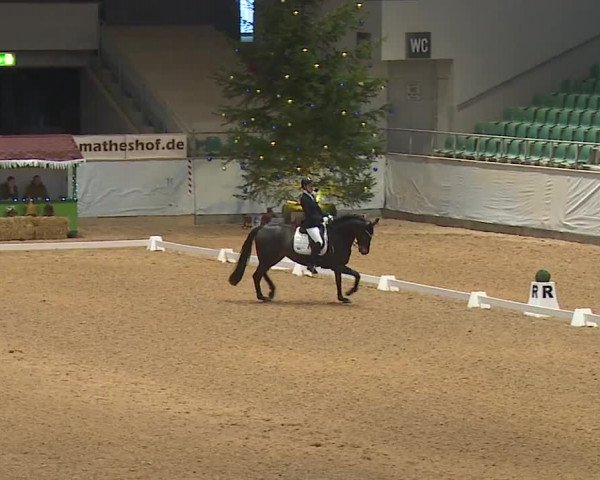 Reitturnier Kreuth/Opf. 2023