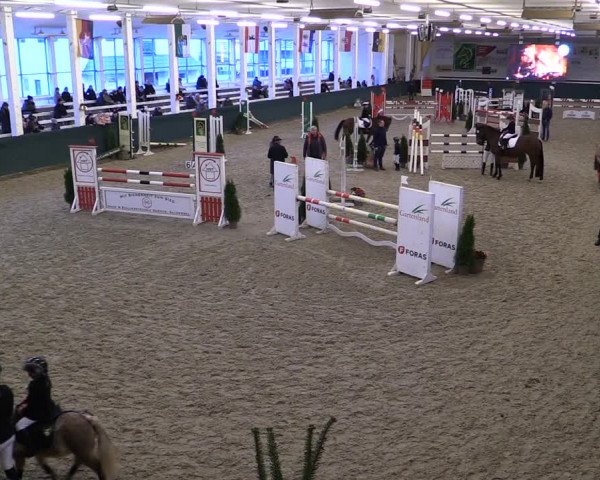Reitturnier Salzwedel 2023