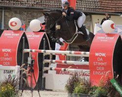 jumper Laesserhof's Carat (Holsteiner, 2006, from Calido I)
