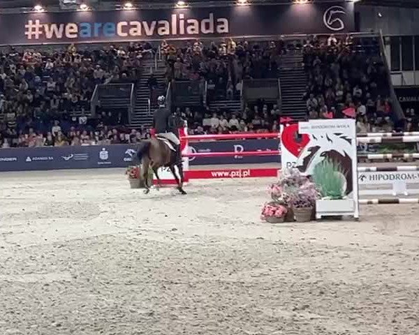 Video von Isis
