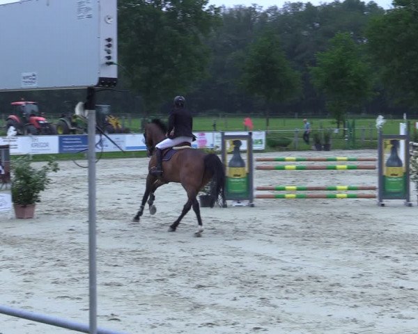Video von Malheur 43