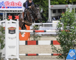 jumper Diandra B (Holsteiner, 2013, from Diarado)