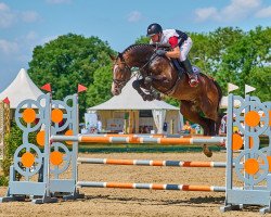 stallion Baltic Baileys (Holsteiner, 2017, from Constanzehof's Barcley)