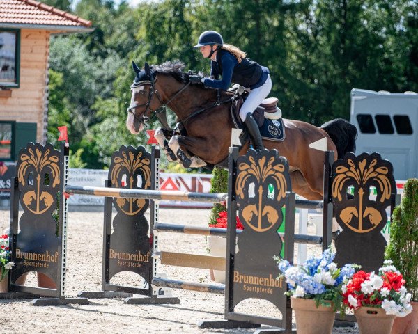 Springpferd QUASI BLUE (Oldenburger Springpferd, 2016, von Quasimodo vd Molendreef) Springpferd QUASI BLUE (Oldenburger Springpferd, 2016, von Quasimodo vd Molendreef)