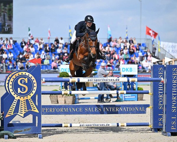 jumper MiSANTO Sparkle (Württemberger, 2009, from Stalypso)