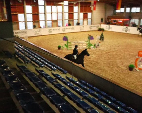 Reitturnier Prussendorf 2023