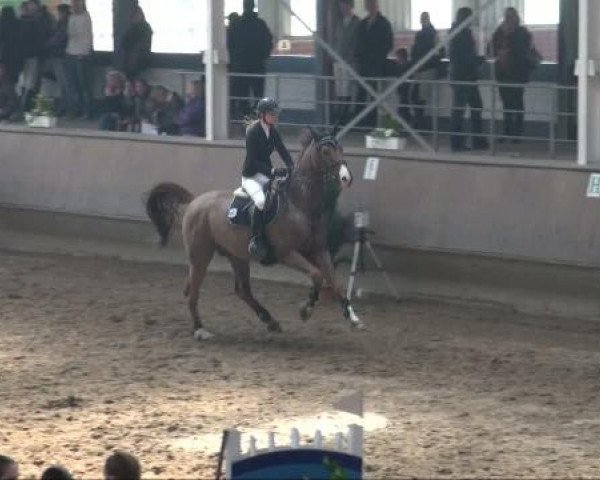 Alt Marl 2011