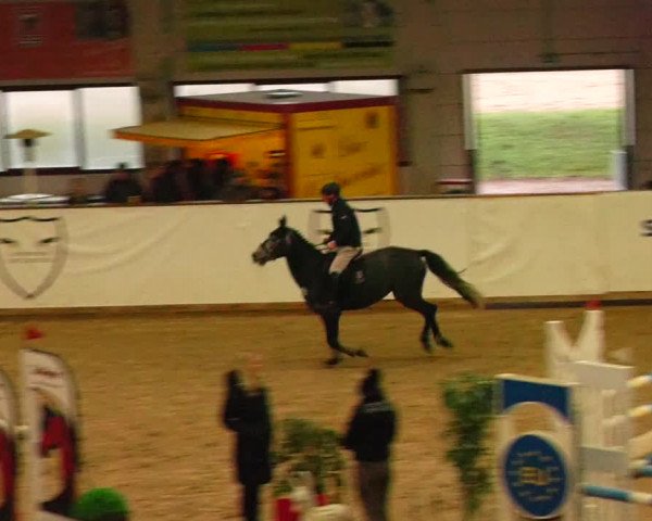 Reitturnier Prussendorf 2023