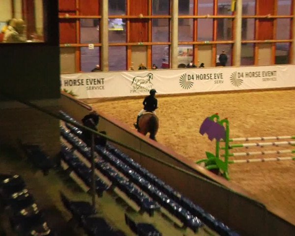 Reitturnier Prussendorf 2023