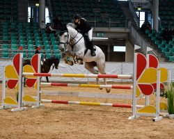 jumper Charlotte Lotty (KWPN (Royal Dutch Sporthorse), 2015, from Scuderia 1918 Casago)